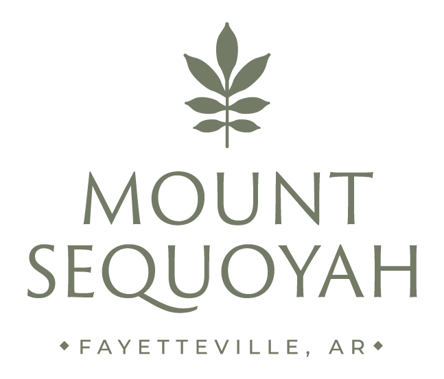 MountSequoyahUPDATED